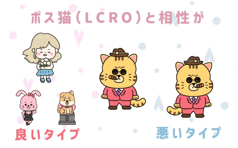 ボス猫(LCRO)と相性が良いタイプと悪いタイプ